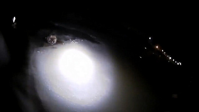 В Америке собака провалилась под лед. Пришедшему ей на помощь полицейскому пришлось поработать психологом