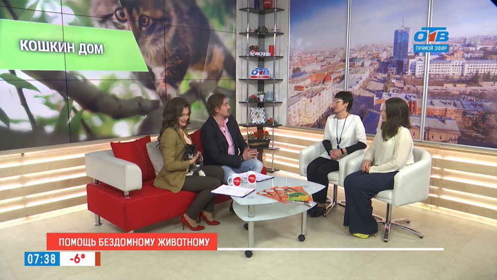 Помощь бездомным животным
