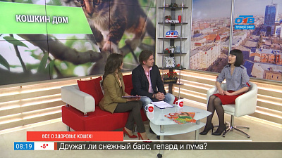 Все о здоровье кошек!