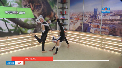 Танец кошек