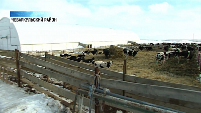 Губернатор поддержит чебаркульских фермеров