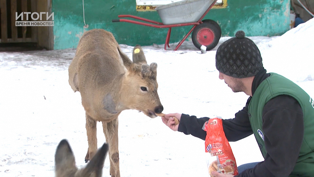 Итоги. Время новостей от 08.03.2019