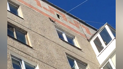 Белка-паркурщица удивила магнитогорцев 8 марта. ВИДЕО