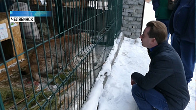 Животных готовятся выпустить на волю