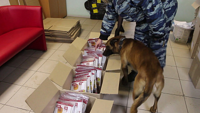 В Челябинской области завершилась международная антинаркотическая спецоперация. ВИДЕО