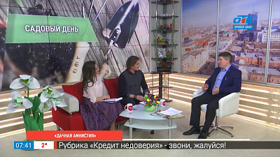 «Дачная амнистия»