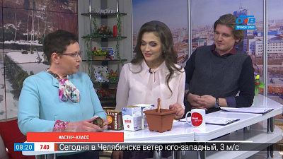 Посадка клубневой бегонии