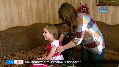 Добрые среды — Вероника Шевлякова