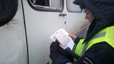 Челябинские транспортники отчитались о повышенных прибылях во время рейдов ГИБДД