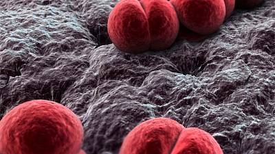 Судмедэксперты огласят точную причину смерти челябинской школьницы