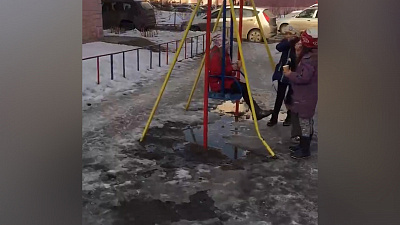 Собачьи отходы заполонили двор в Курчатовском районе. ВИДЕО