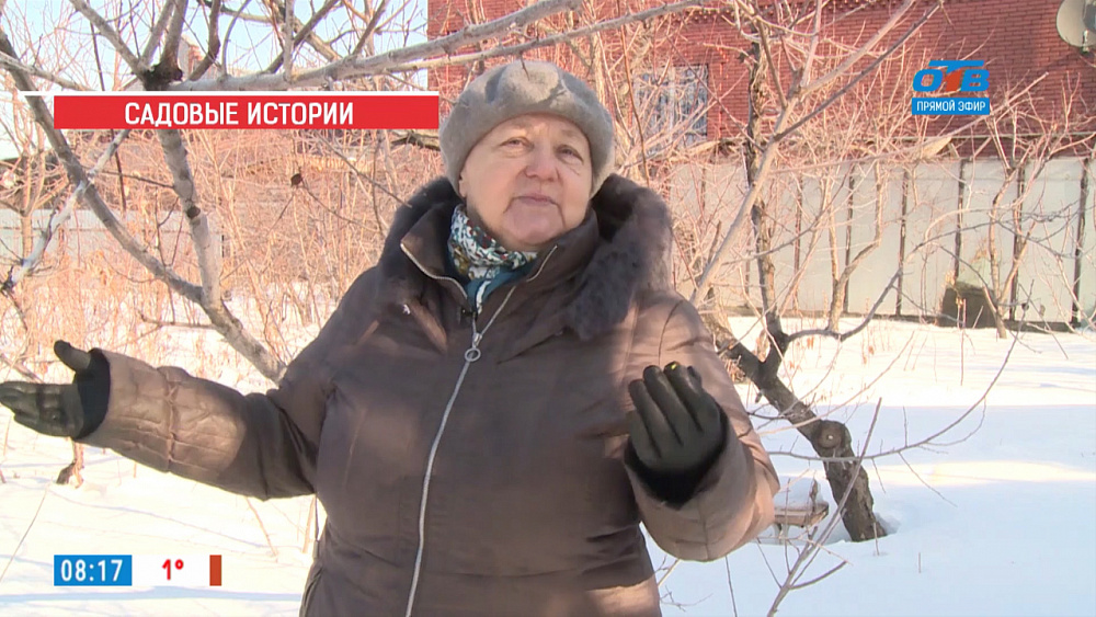 Садовые истории — ревизию зимнего сада проводит опытный садовод