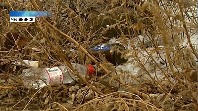 Бизнесменов обязали убирать мусор в городе