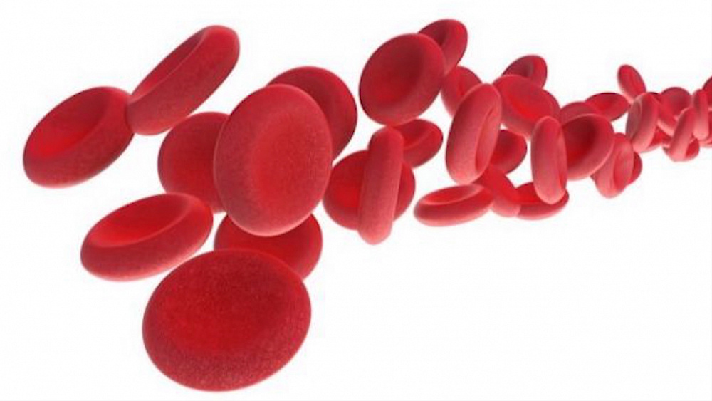 О здоровье 30.03.2019