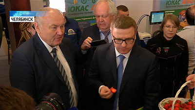 Алексей Текслер посетил агровыставку