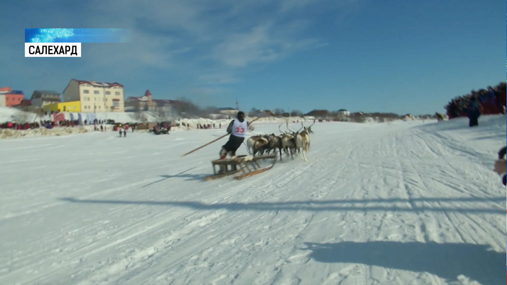 День оленевода отметили на Урале