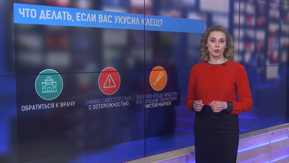 Что делать, если вас укусил клещ?