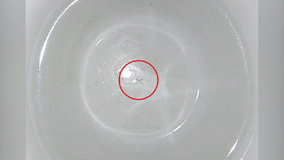 «Что ты такое?» Жители Южного Урала нашли в воде из-под крана странный микроорганизм