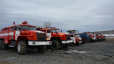 Прокуратура области сделала заявление о работе ГУ лесами и о ситуации с пожарами