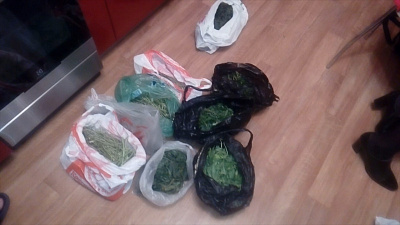 Магнитогорцу грозит до 20 лет тюрьмы за «сад» в квартире. Оперативное видео