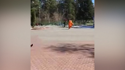 Ростовая кукла кота предотвратила преступление в Челябинске. ВИДЕО