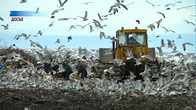 Подготовка к рекультивации свалки начнётся в июне