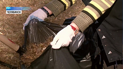 Челябинск подключился к акции «Чистая страна»