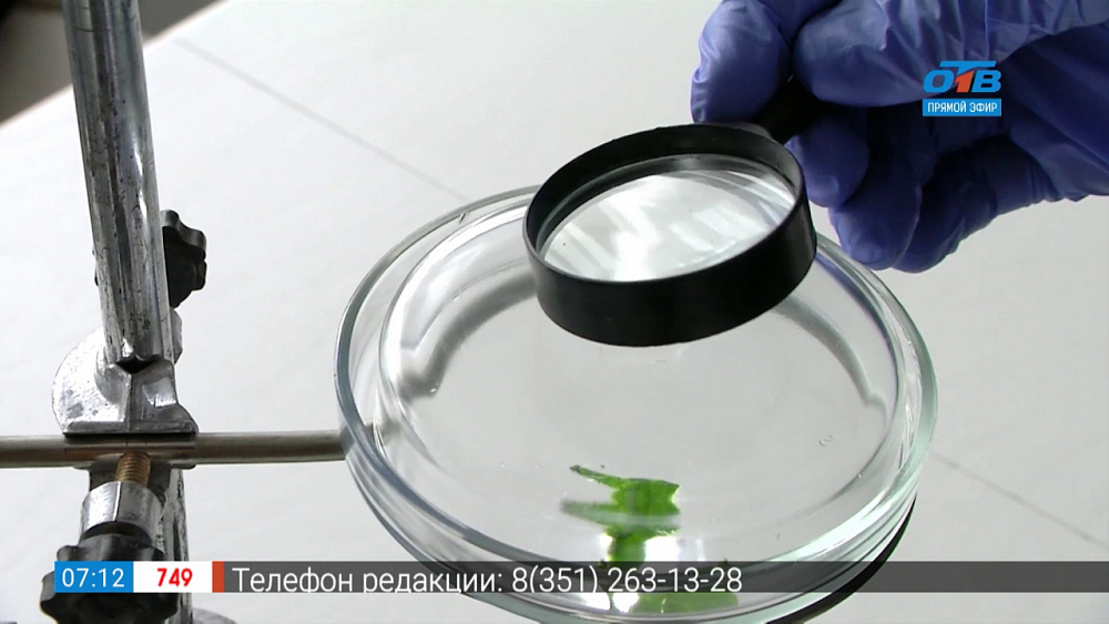 Юный биолог