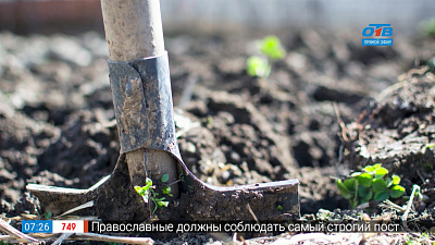 Садовые истории — уборка старой листвы