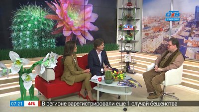 Искусство выращивания кактусов