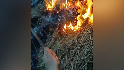 На Южном Урале мужчина боролся с пожаром при помощи бутылки воды и прутика. ВИДЕО