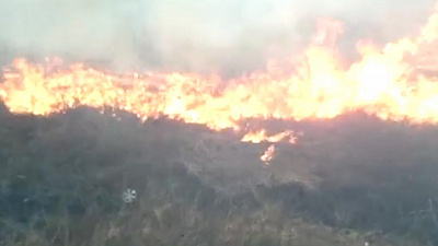 Жителей Миасса напугал густой дым на горизонте. ВИДЕО