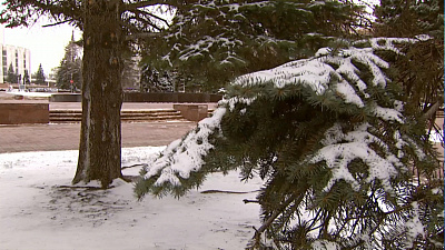 Челябинск засыпало весенним снегом