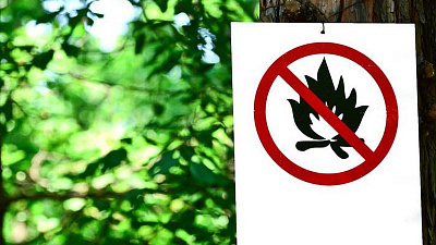 Майские праздники без шашлыков. Челябинцам запретили разжигать огонь на природе