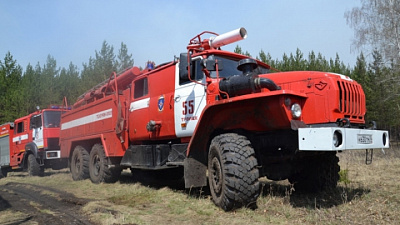 Южноуральцев призывают соблюдать особый противопожарный режим