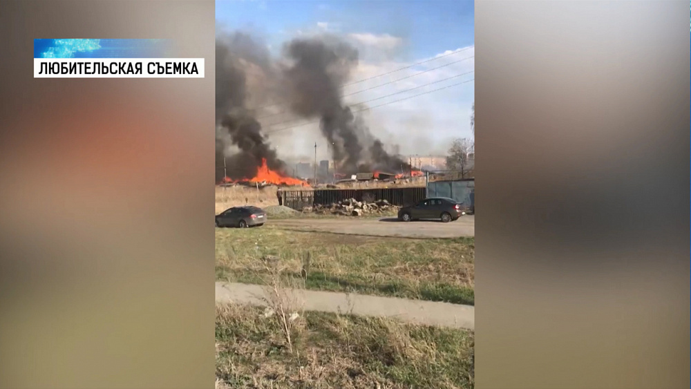 За сутки в лесах произошло 24 пожара