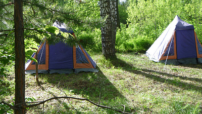 Квалификацию персонала детских летних лагерей будут проверять