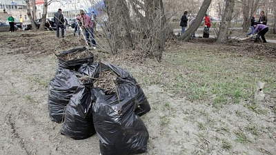Увольнения ждут чиновников за не вывезенный мусор