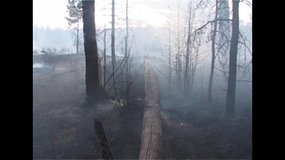 Время новостей. Миасс от 16.05.2019