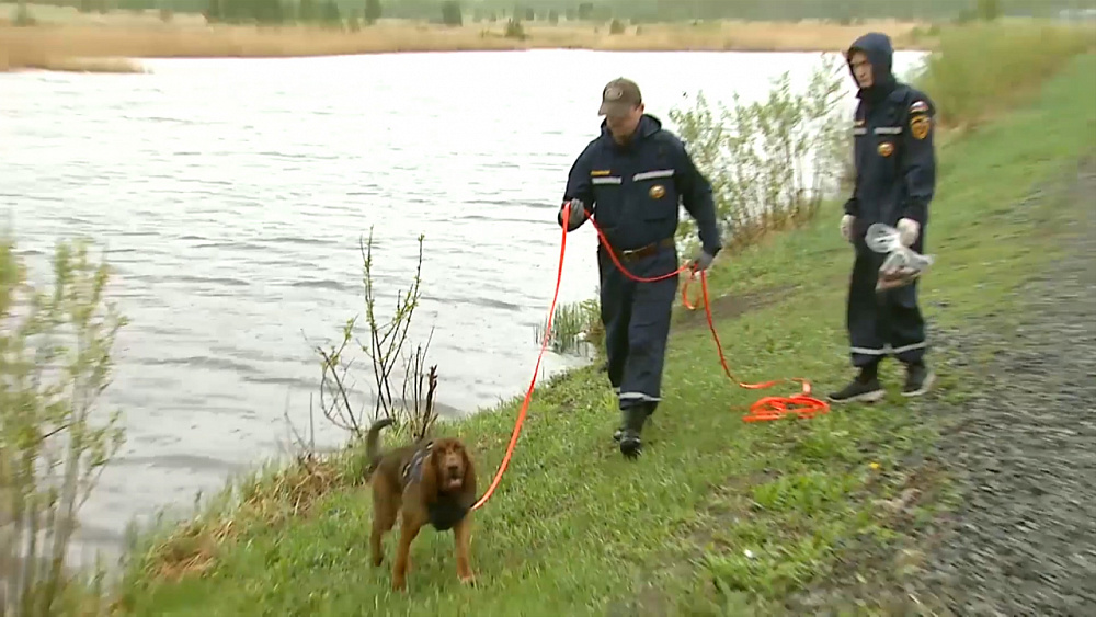 Происшествия недели 19.05.2019