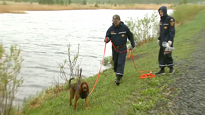 Происшествия недели 19.05.2019