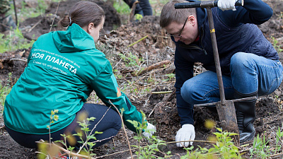 Челябинцы высадили в сосновом бору несколько тысяч новых деревьев