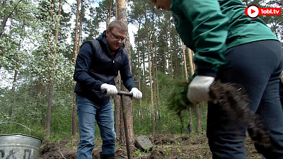 Глава региона помог волонтерам с озеленением городского бора