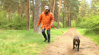 Лабрадор-спасатель вернулся к хозяину через три года. Интервью с хозяином