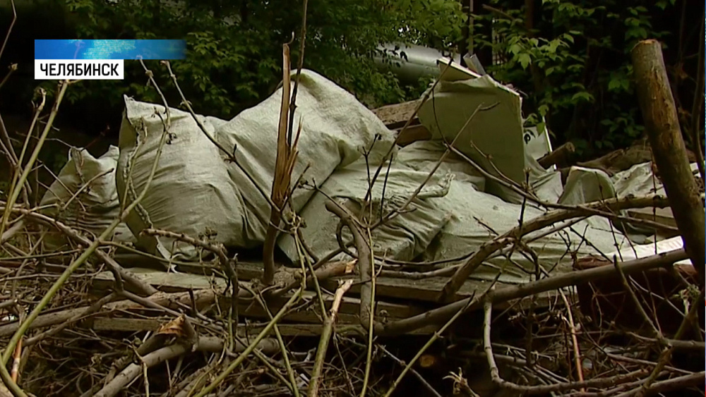 Коммунальщики должны убрать мусор во дворах до полуночи