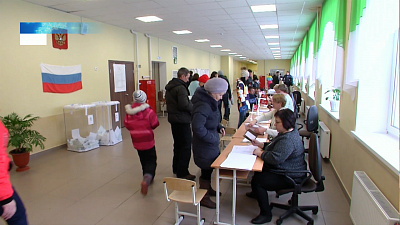 Подписи для самовыдвиженцев проверят на легитимность