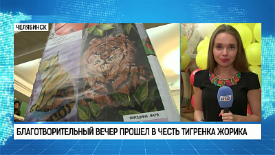 Благотворительный вечер прошел в честь тигренка Жорика