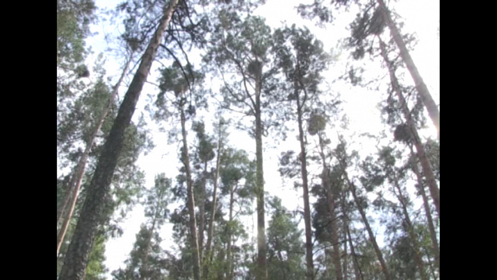 Время новостей. Миасс от 22.05.2019