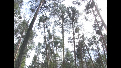 Время новостей. Миасс от 22.05.2019