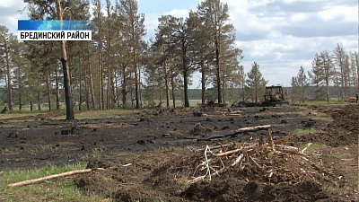 Брединские лесники показали последствия крупного пожара